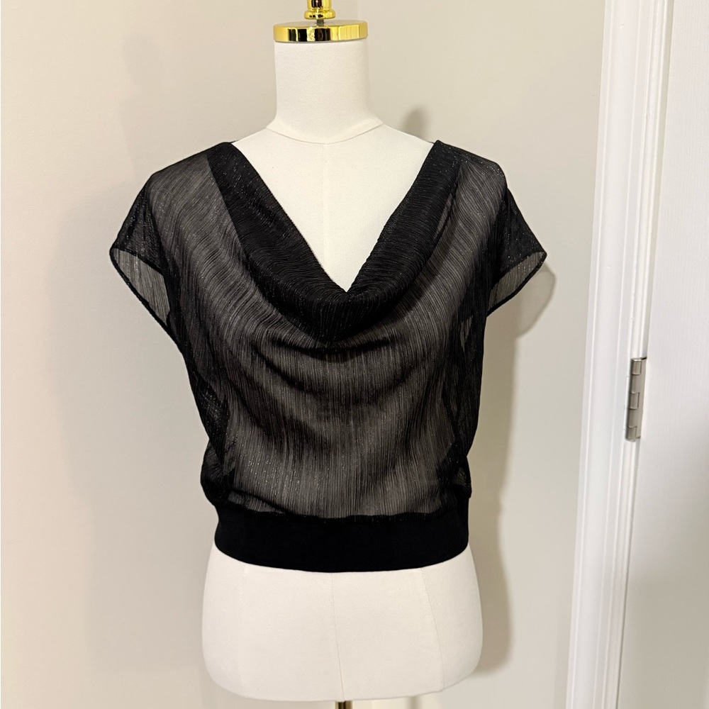 Elegant Alice + Olivia Black Sheer Blouse